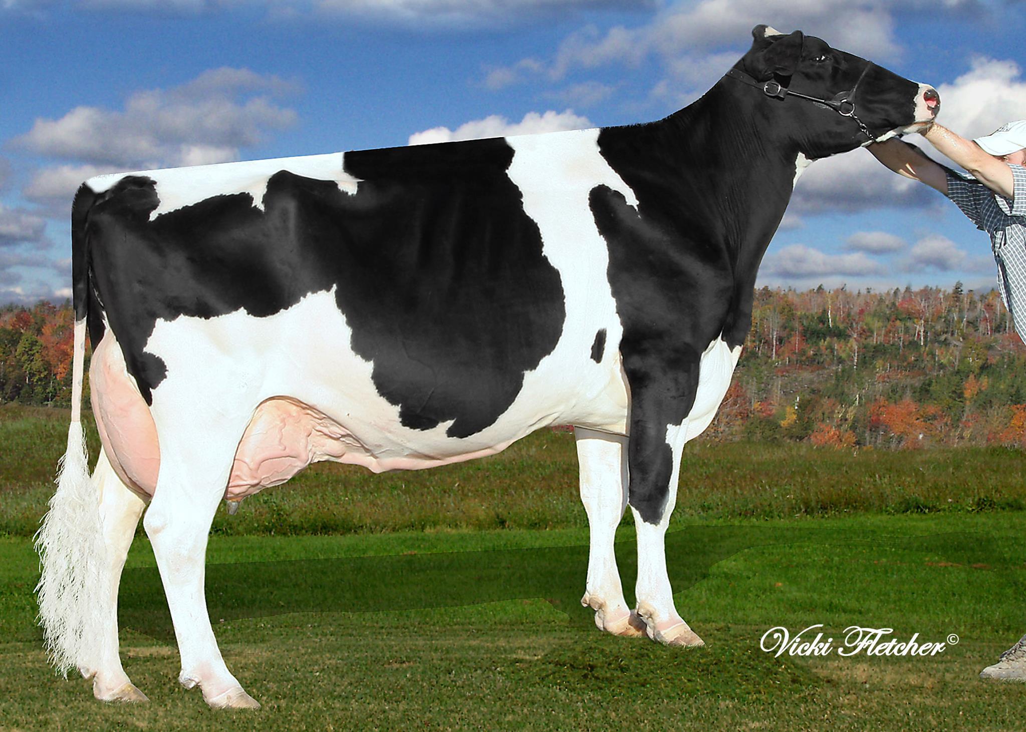Suntor Income Rox-ET is now EX-93-3E--9Y (CAN)