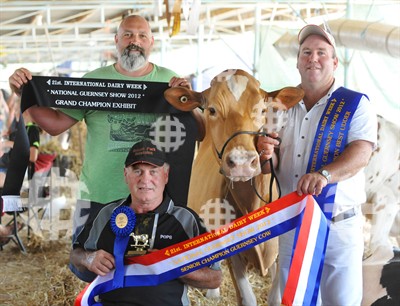CHAMPION GUERNSEY COW – Florando SD Koala Exhibited by Joyce Family & Gass CHAMPION GUERNSEY COW – Florando SD Koala Exhibited by Joyce Family & Gass