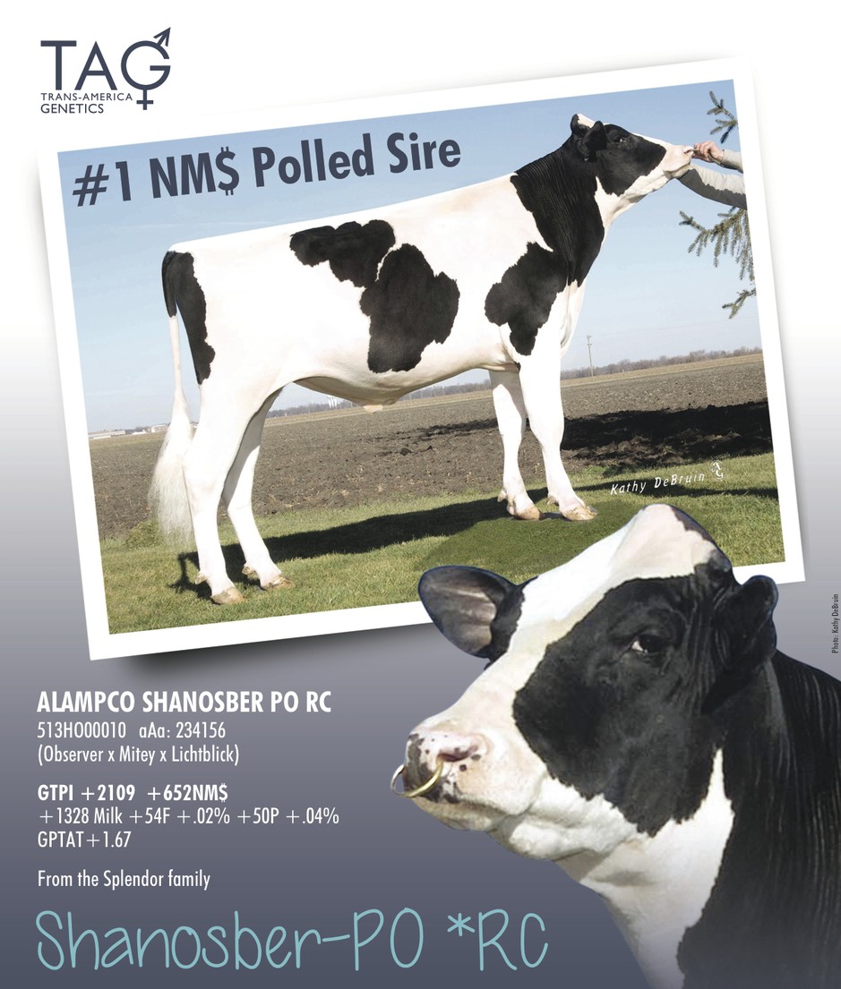 Alampco SHANOSBER PO