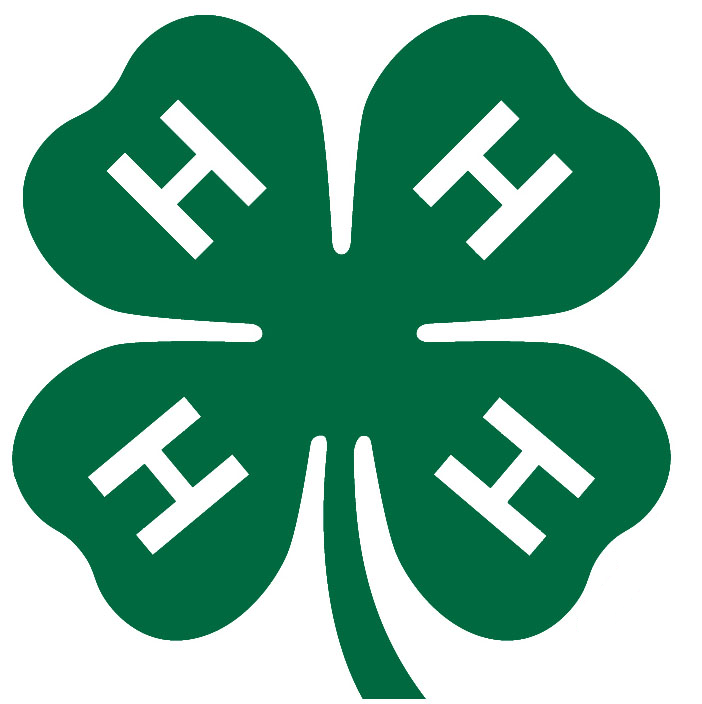 4-hlogo