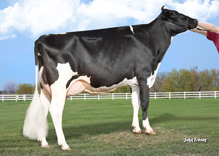 ERBACRES JASPER LIBERTY one of two First Time  EX-92 cows in the US for January