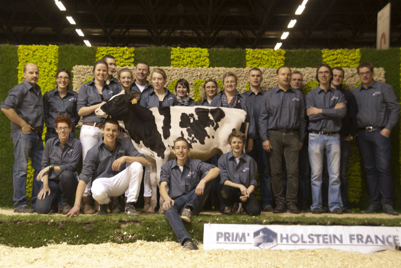 Sale team with HONDA which sold to Ven Dairy Holsteins in the Netherlands
