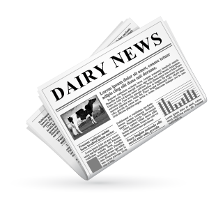 dairy news