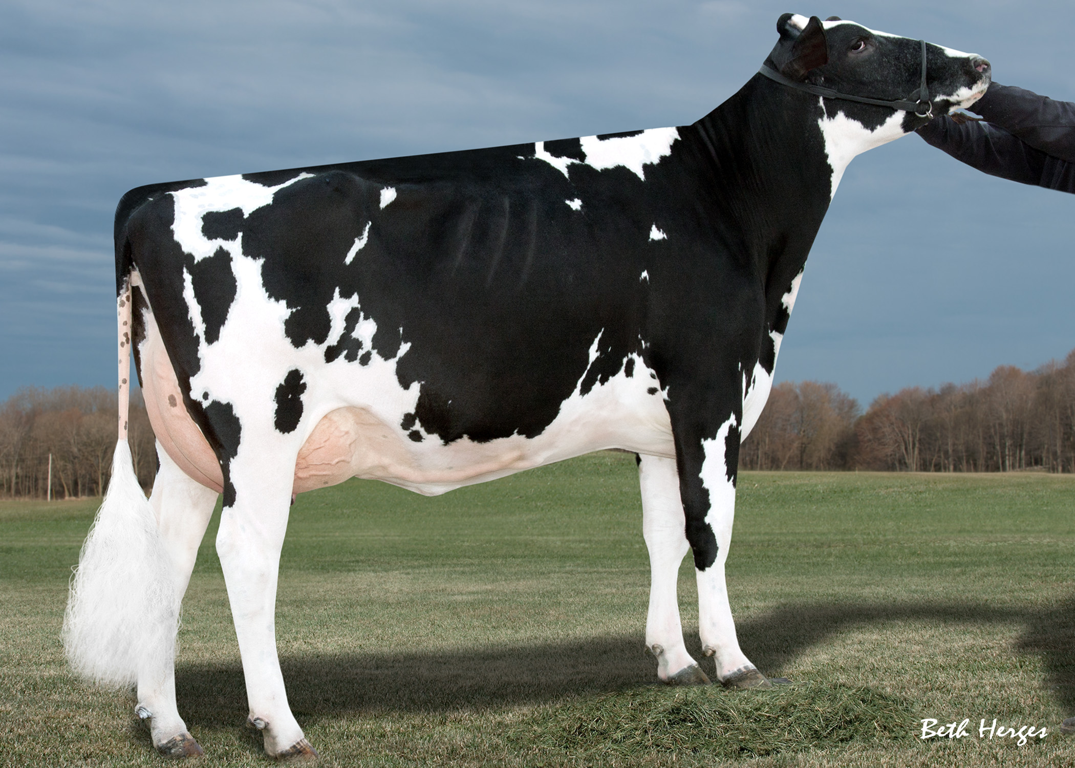 Ms Rugg-Doc Arms Chipper-ET now EX-91 DOM Ms Rugg-Doc Arms Chipper-ET now EX-91 DOM