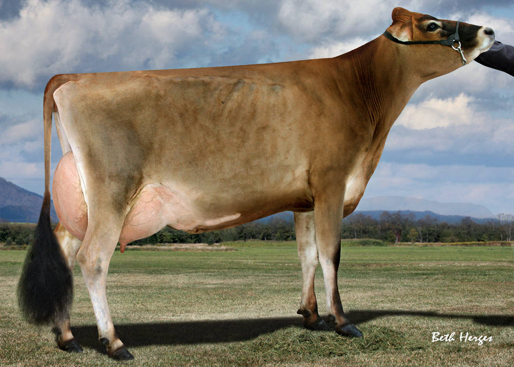 Rights to flush SCHULTZ MYGENT CHILLI-P (EX-90) X 4 VG or EX dams sold for $15,200
