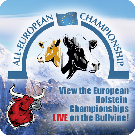 View the European Holstein Championships LIVE on the Bullvine