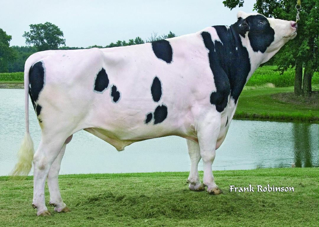 England-Ammon MILLION-ET (EX-92-GM)