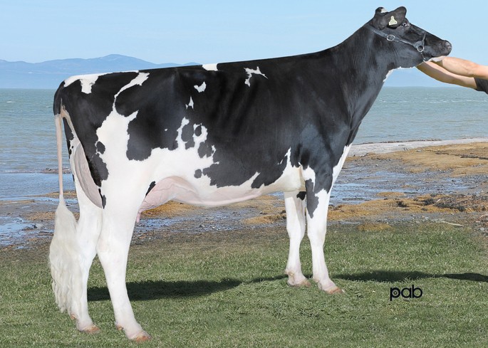 wabash_way_i_shottle_ember_en_lait[1]