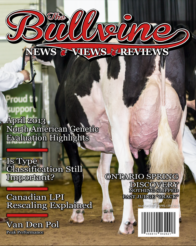 Bullvine Cover 4-13-2013