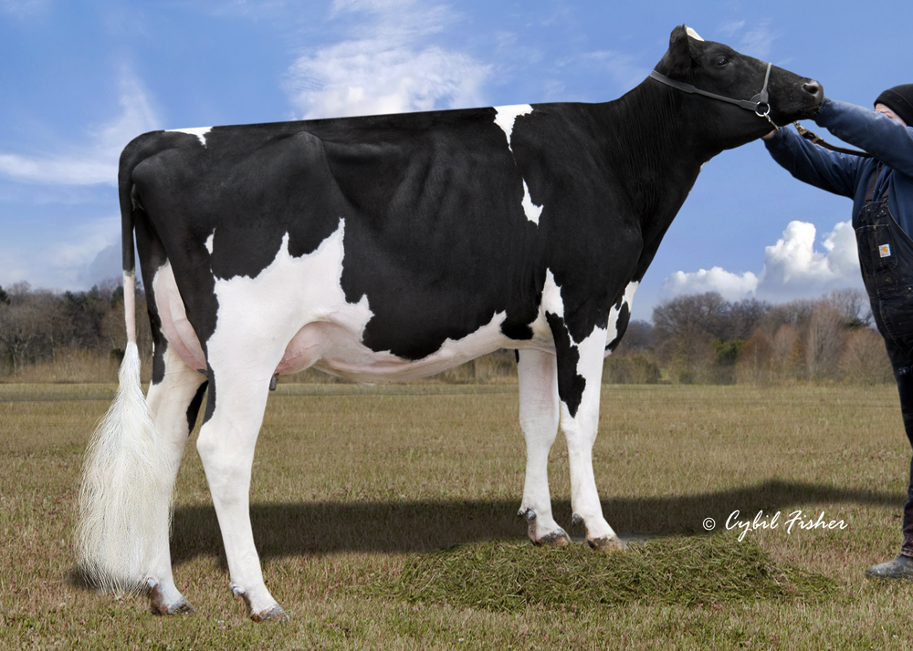 Kevetta Time Brisk now VG-87