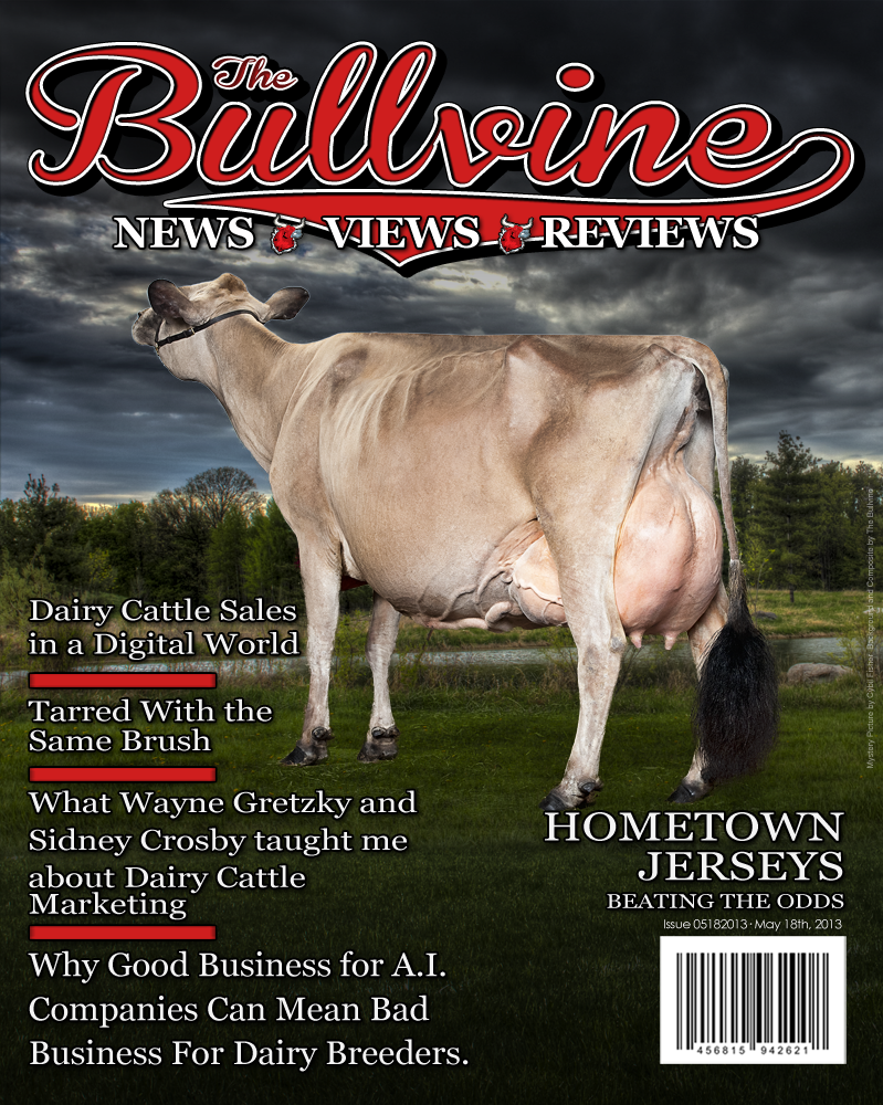 Bullvine Cover 5-18-2013