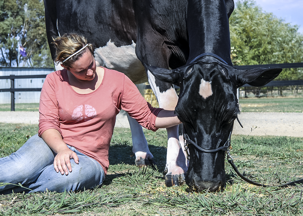 Katie Kearns & Ryanna Allen Topsy EX94 (Hon Men Champion IDW 2010)