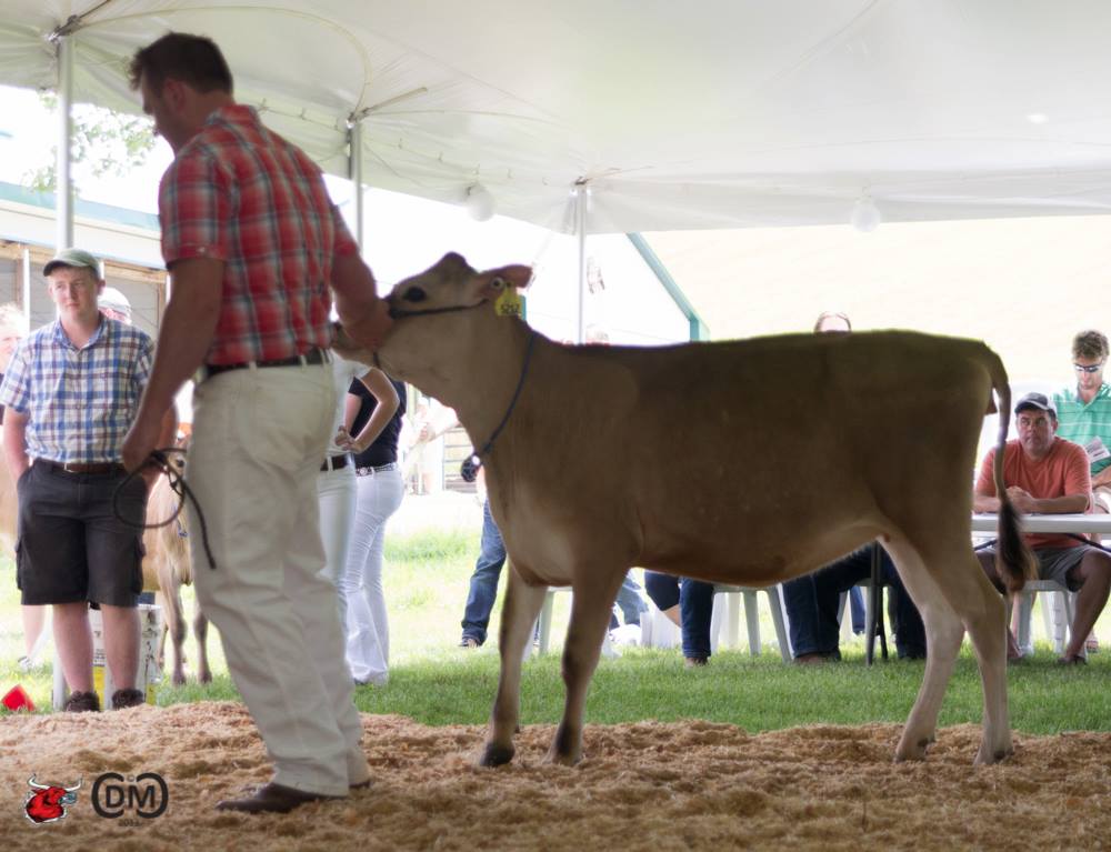 Multi-Rose Perform Verona 5212 sold for $17,000