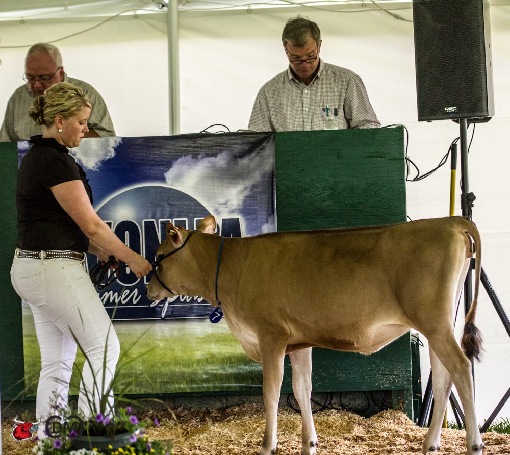 DP Irwins Cinderella 1654 sold for $21,000