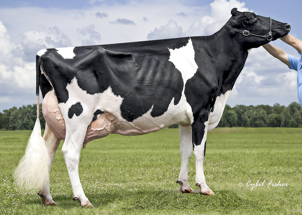 BRAINWAVE GOLDWYN LAURAMIE EX-95
