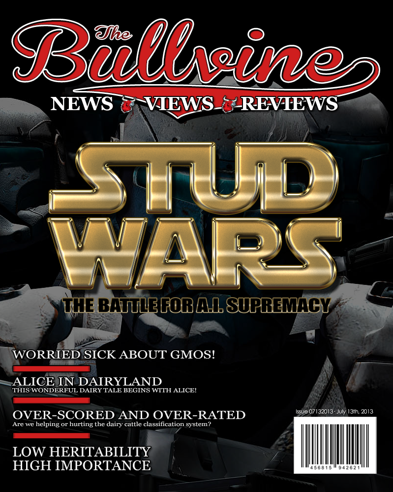 Bullvine Cover 7-13-2013