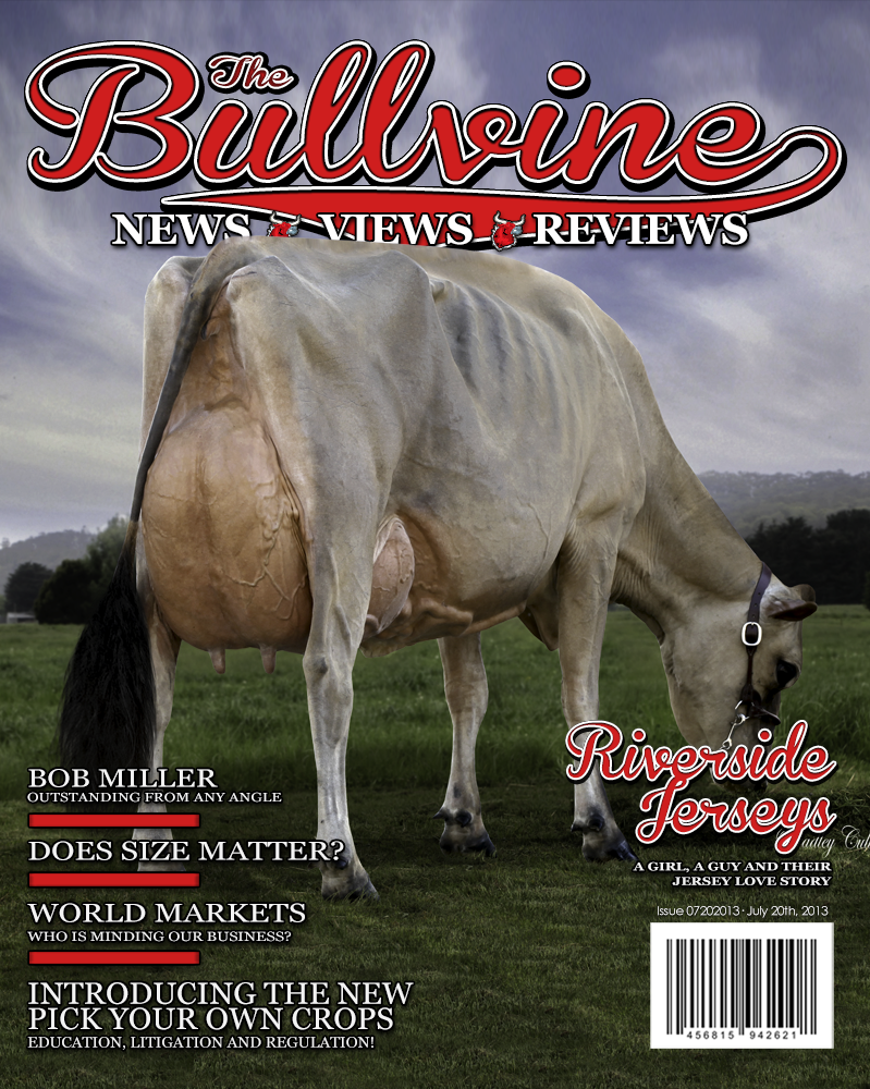 Bullvine Cover 7-19-2013