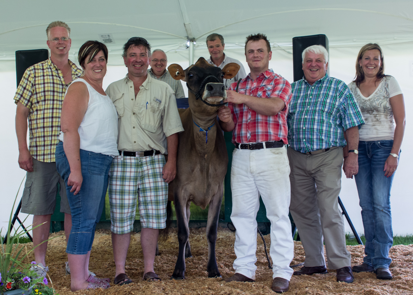 Lot 107 – $23,000 – Budjon-Vail Sambo Glenna-ET, the ABA All-American Senior Two-Year-Old 2012