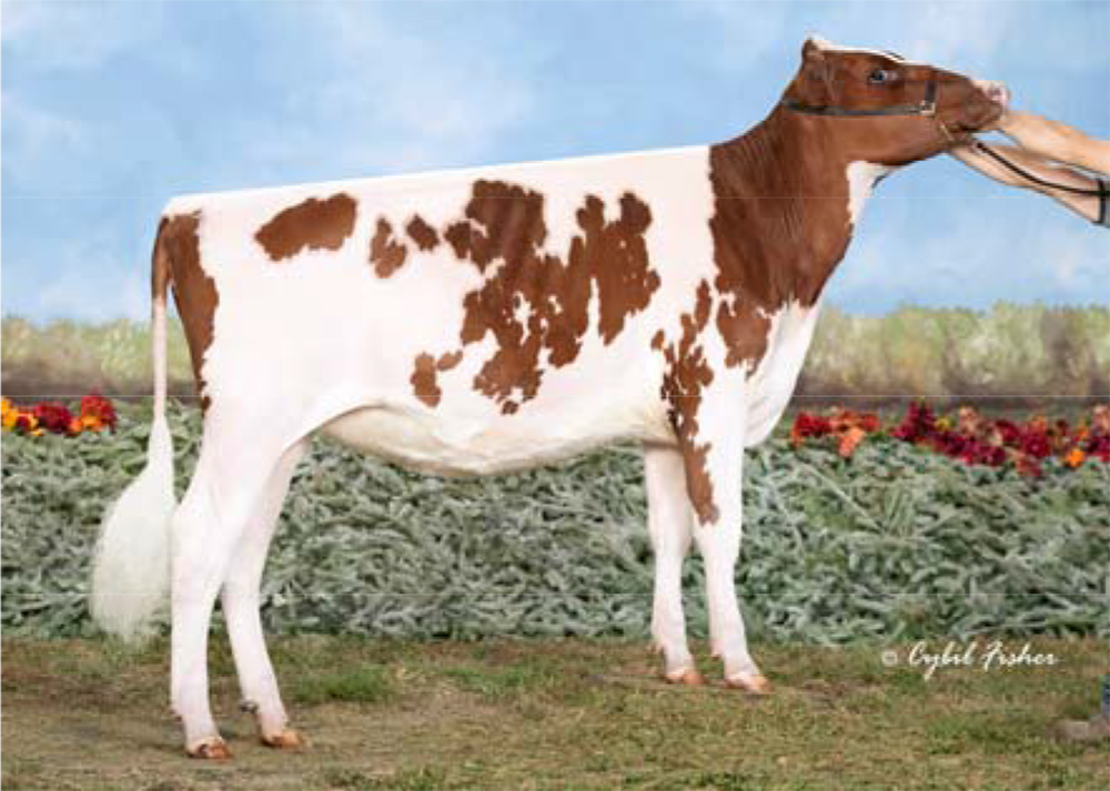 Topp-View Poker Verity Gene Iager, Craig & Emily Walton, US