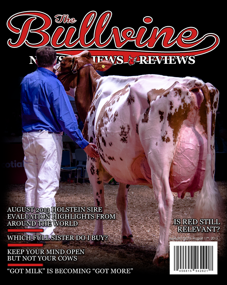 Bullvine Cover 08-17-2013