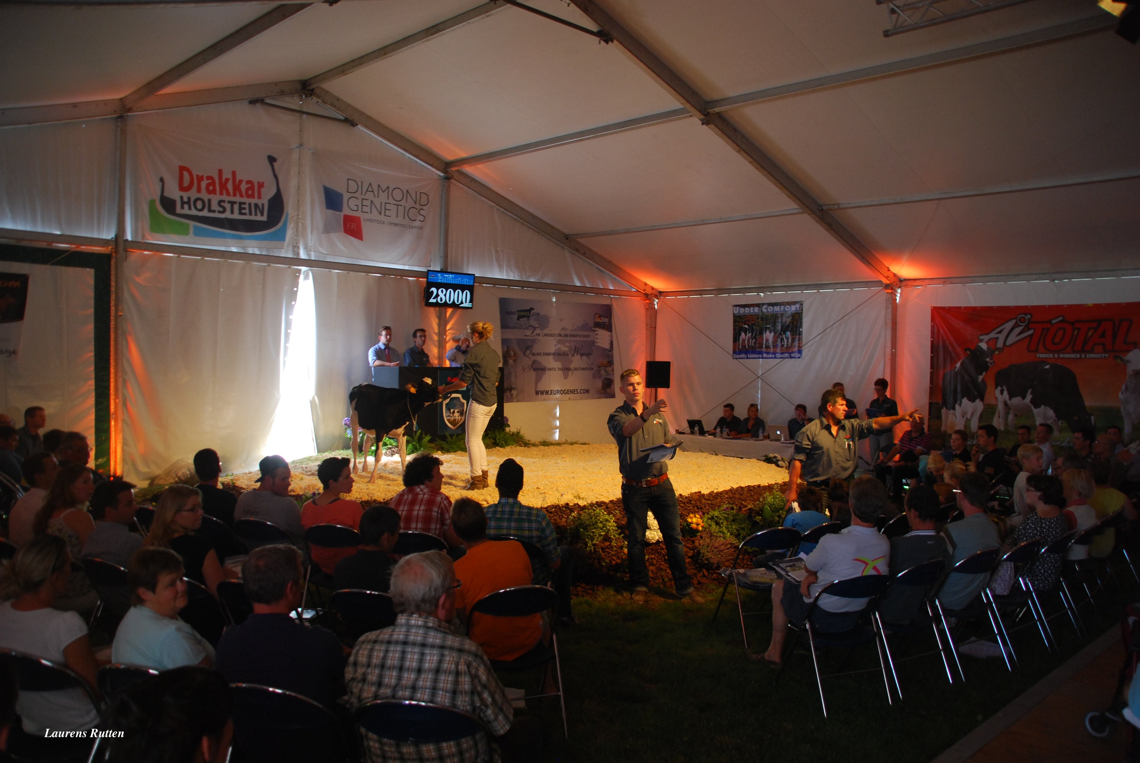 Ivana RC P being sold