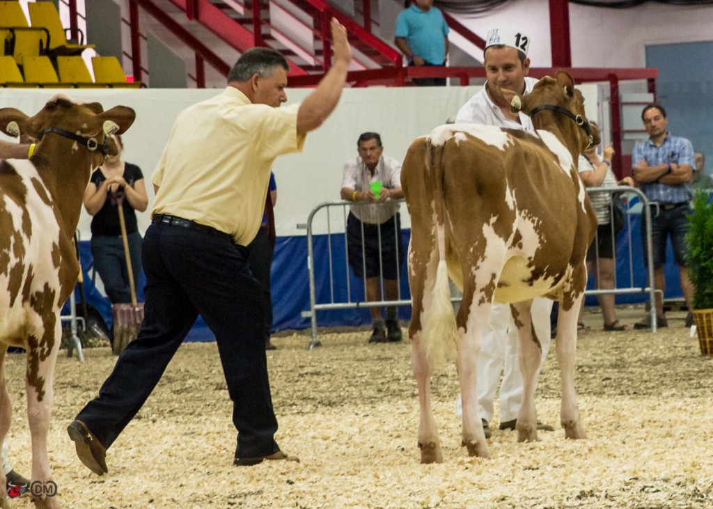 Junior Champion - SEJANE CAMDEN VANIA