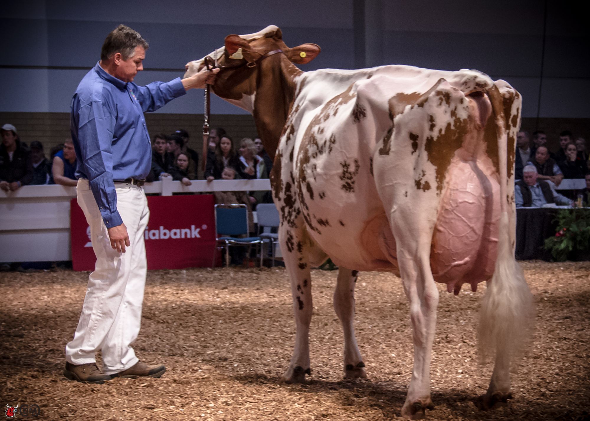 Blondin Redman Seisme EX-96 2E