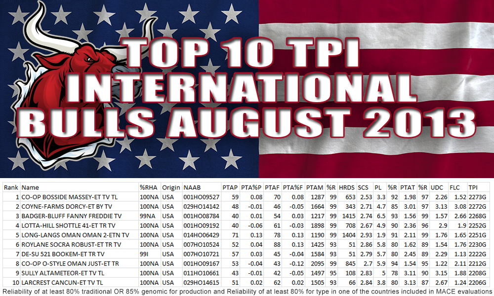 Top 10 TPI International Bulls August 2013