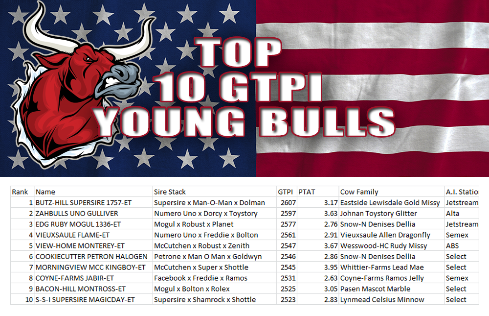 Top 50 GTPI Young Bulls