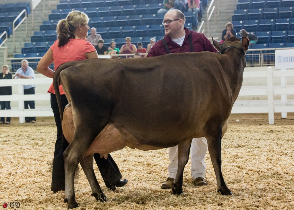 Senior Champion: Stoney Point Excitation Jamie (Bridon Excitation), River Valley, Tremont, IL, 1st Aged Cow