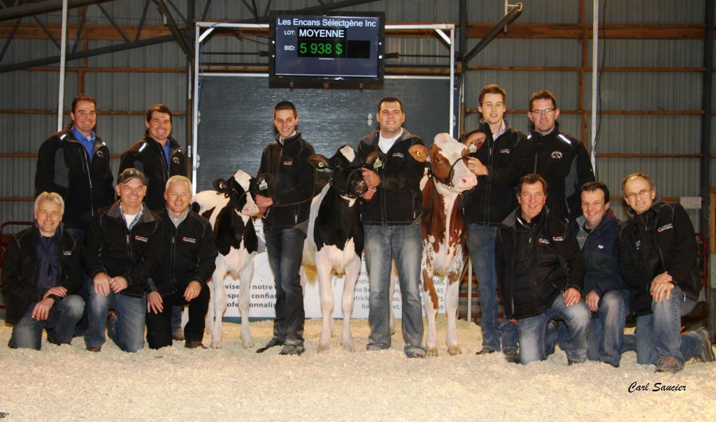 904145_668839553135026_896218486_o[1]