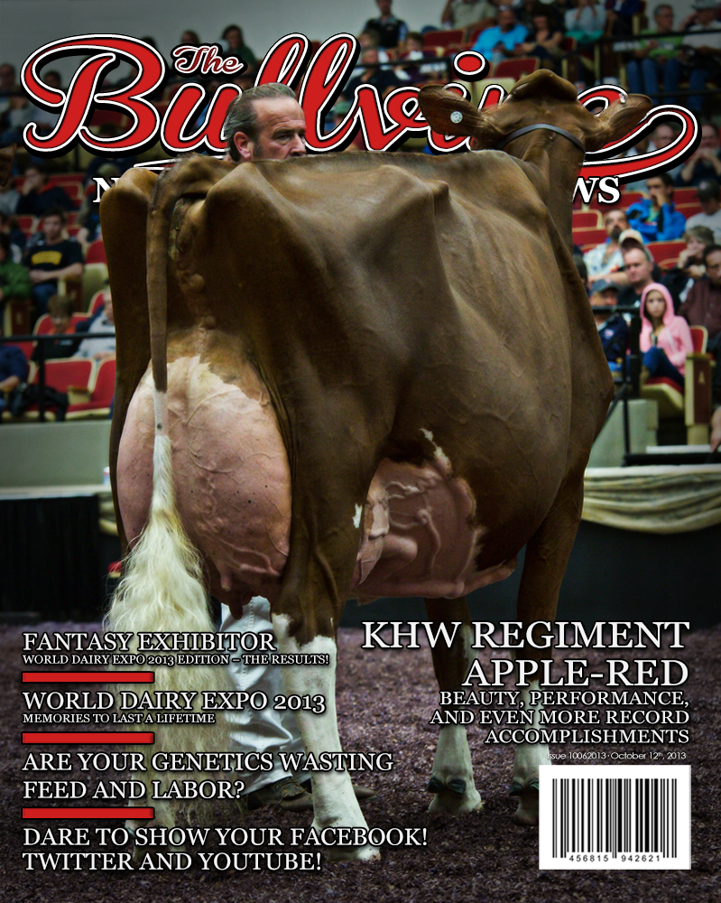 Bullvine Cover 10-12-2013