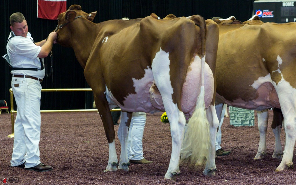 Ms Candy Apple-Red-ET IMs Candy Apple-Red-ET