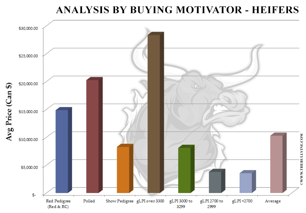 Analysis by Buying Motivator - Heifers