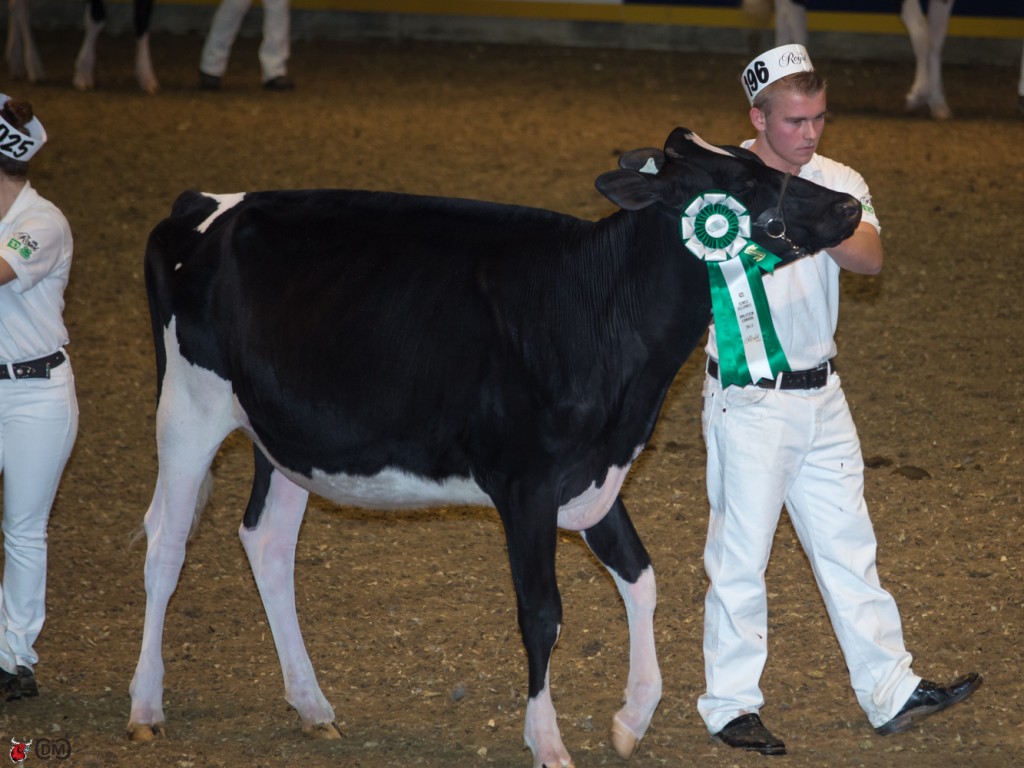 Intermediate Champion - Peter Leach- Kawartha Lakes