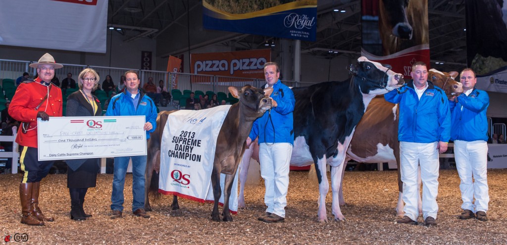Royal Winter Fair Supreme Champion 2013