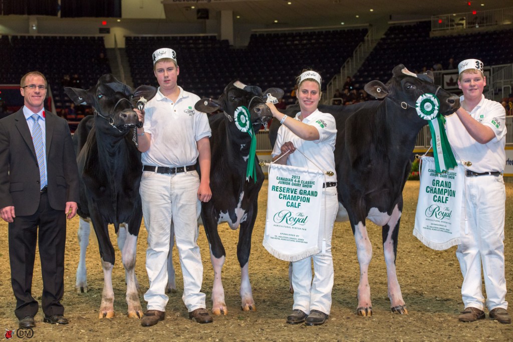 Champion Calf - Bryce Seaborn, Northumberland County, on Signature R Katness (by Regancrest Reginald-ET)