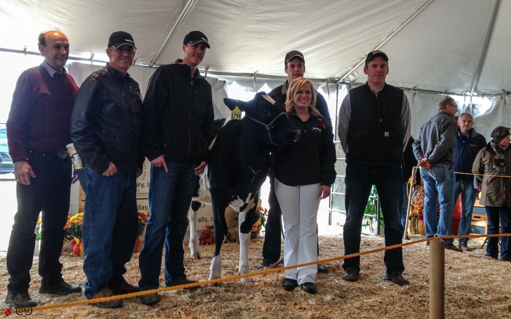 Seagull-Bay Alexa L-ET, sold to Morsan Farms