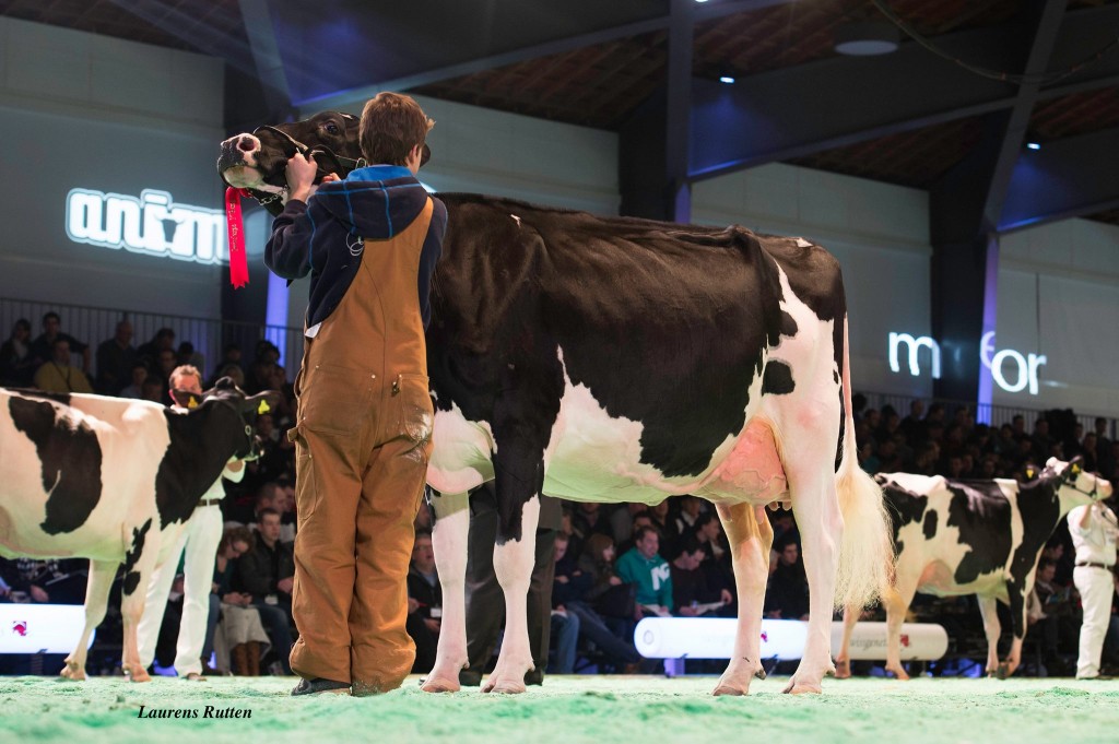 Bel Goldwyn Goldriana