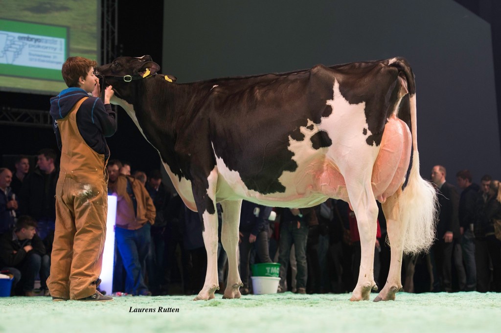 Bel Goldwyn Goldriana