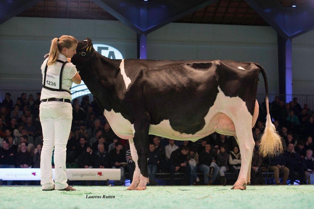 Bul-R Sanchez Himalaya