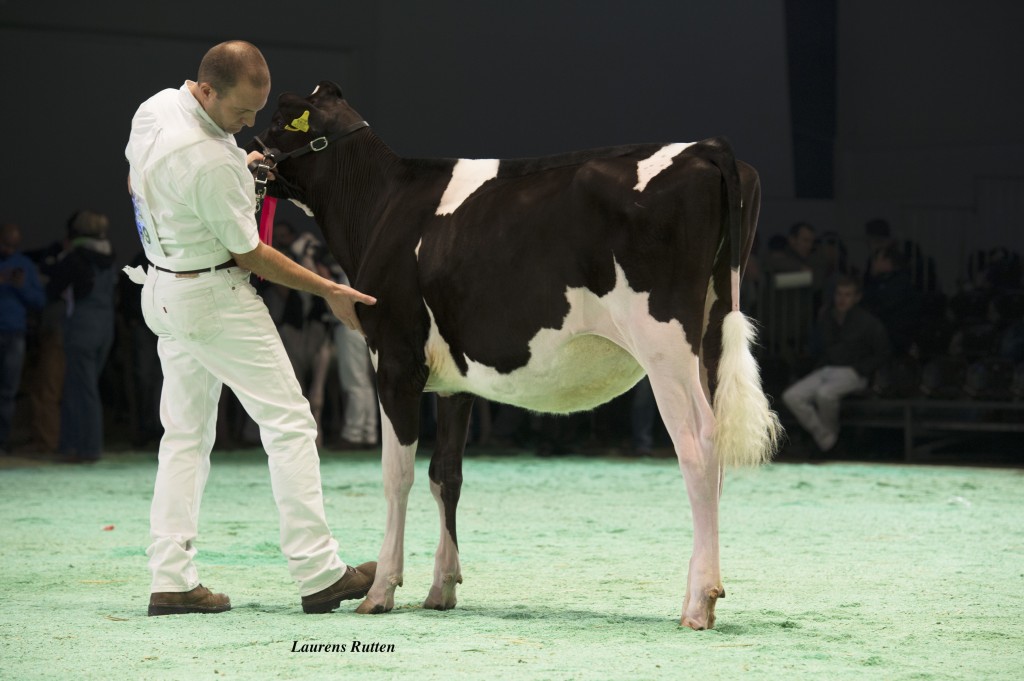 Doug Glauco Markanne