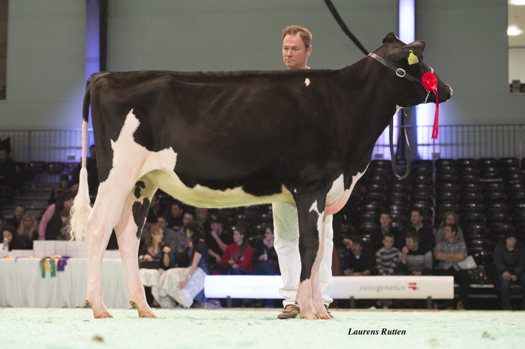 Jacobs Goldwyn Abela