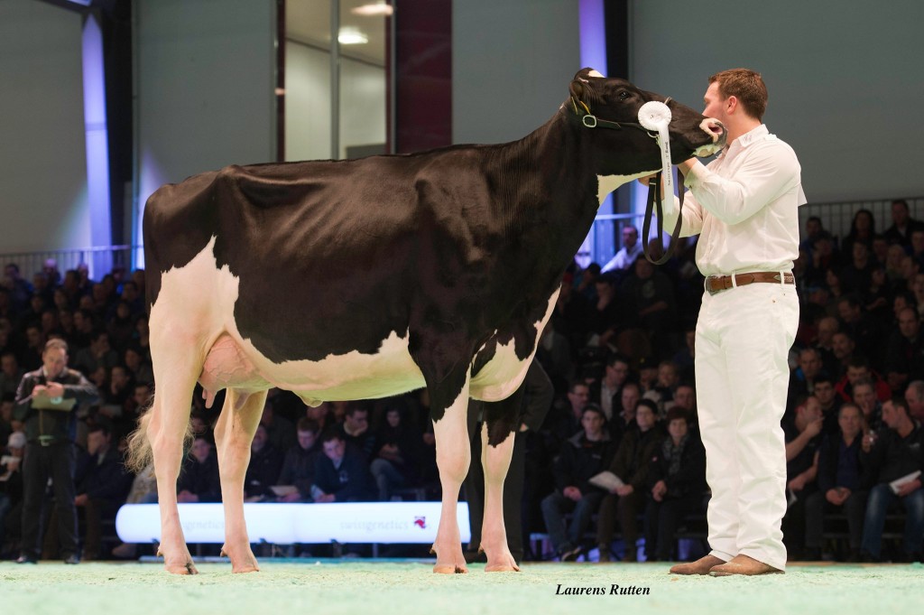 Dupasquier Goldwyn Patricia