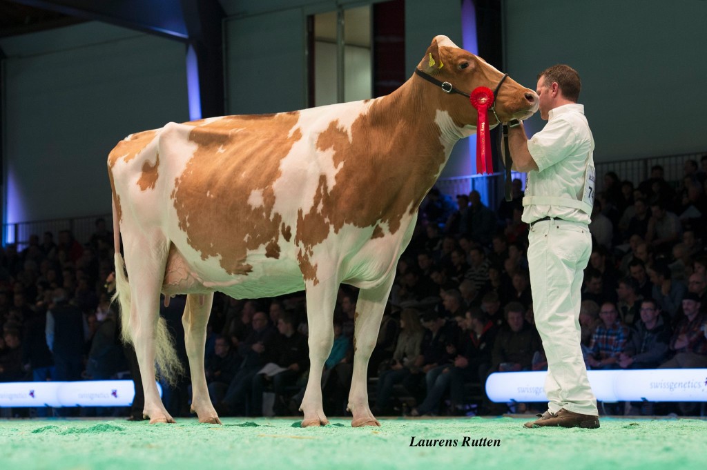 GS Alliance Alando Jodie Red