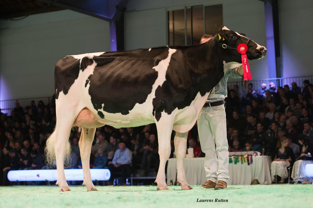 GS Alliance Goldwyn Emily