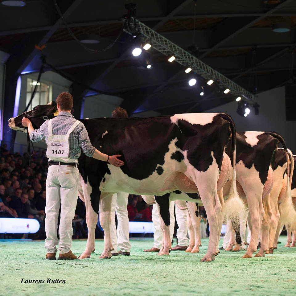 GS Alliance Goldwyn Emily2