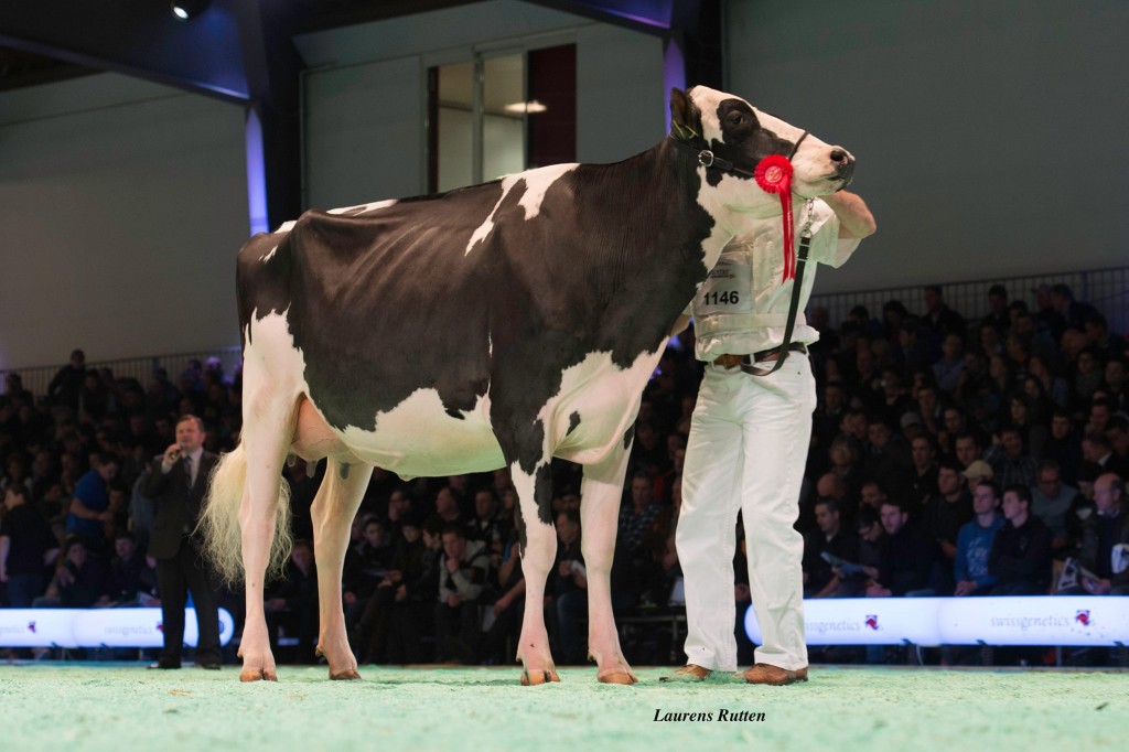 Holst. Papaux Fever Noella