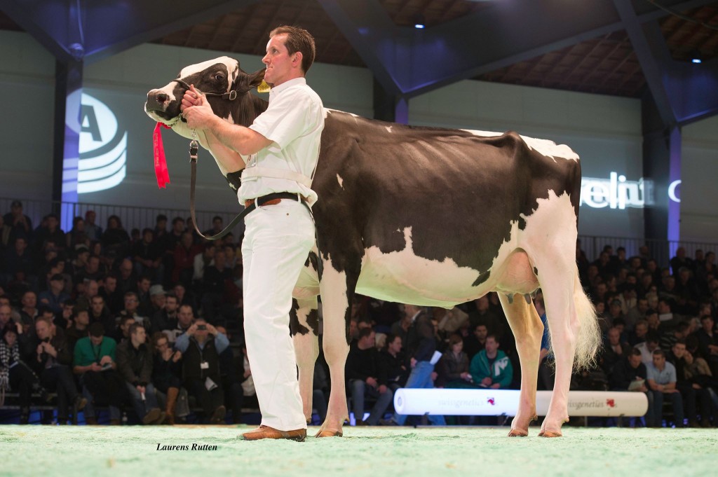 Holst. Papaux Fever Noella