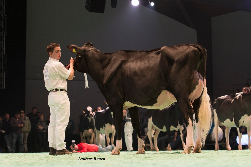 Holst. Papaux Seaver Natalia